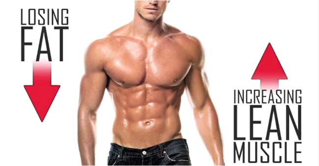 甚麼是增肌?增肌的原理是什麼?